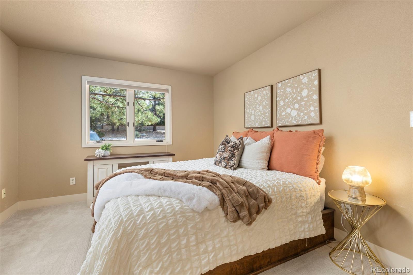 MLS Image #23 for 7532  lakecliff way,parker, Colorado