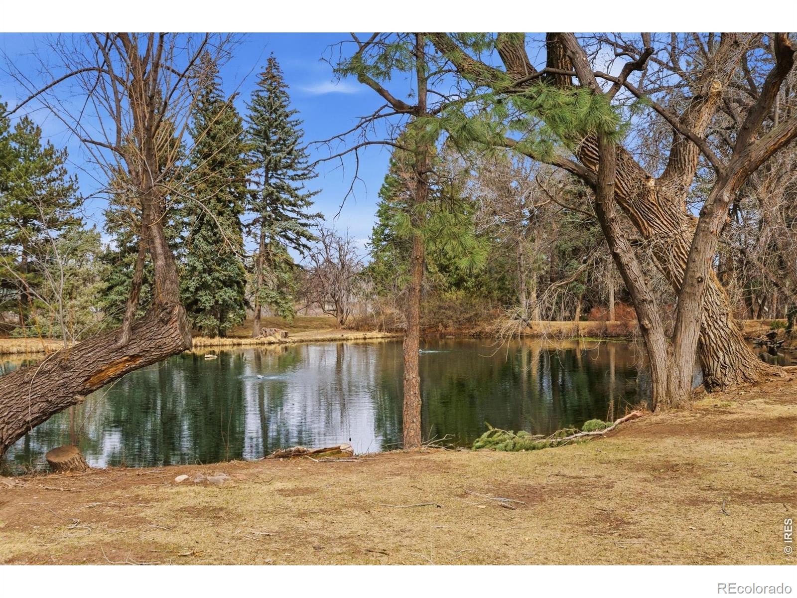 MLS Image #30 for 1907  waters edge street,fort collins, Colorado
