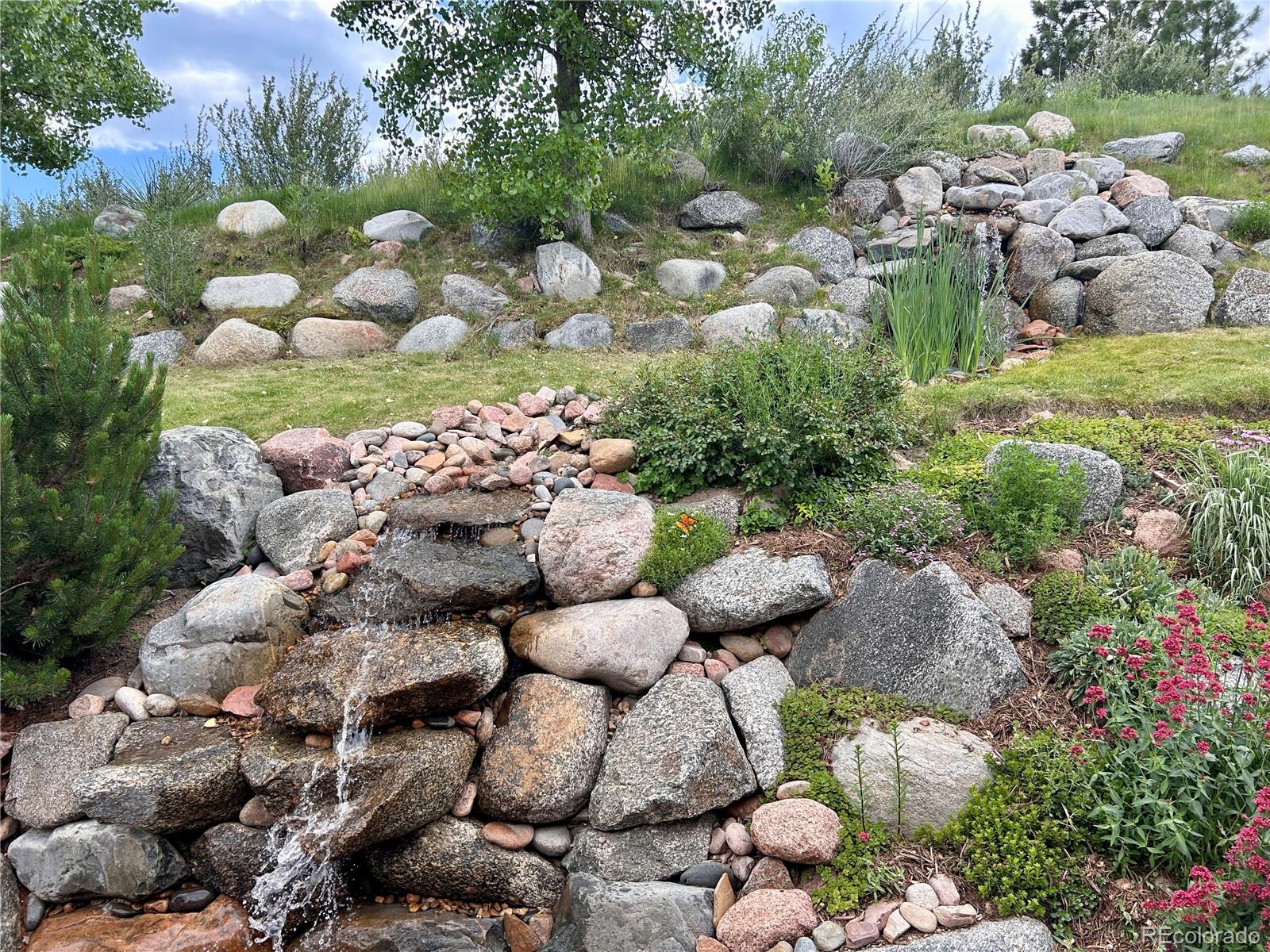 MLS Image #2 for 276  ember place,castle rock, Colorado