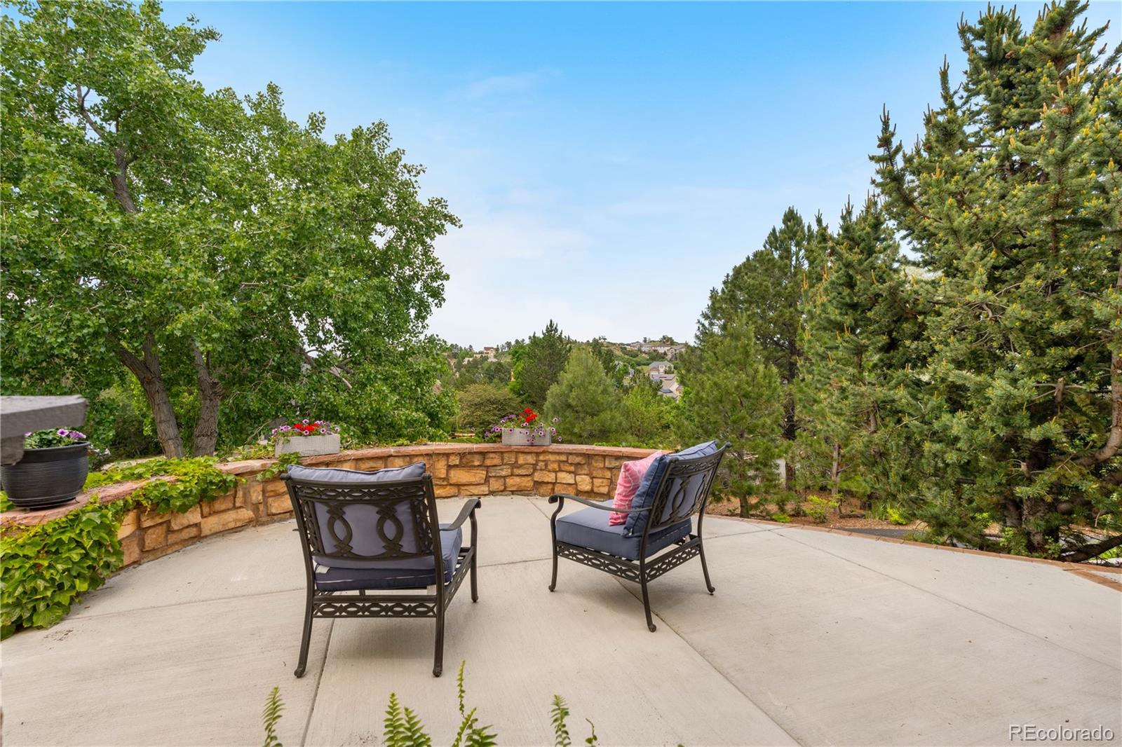 MLS Image #4 for 276  ember place,castle rock, Colorado