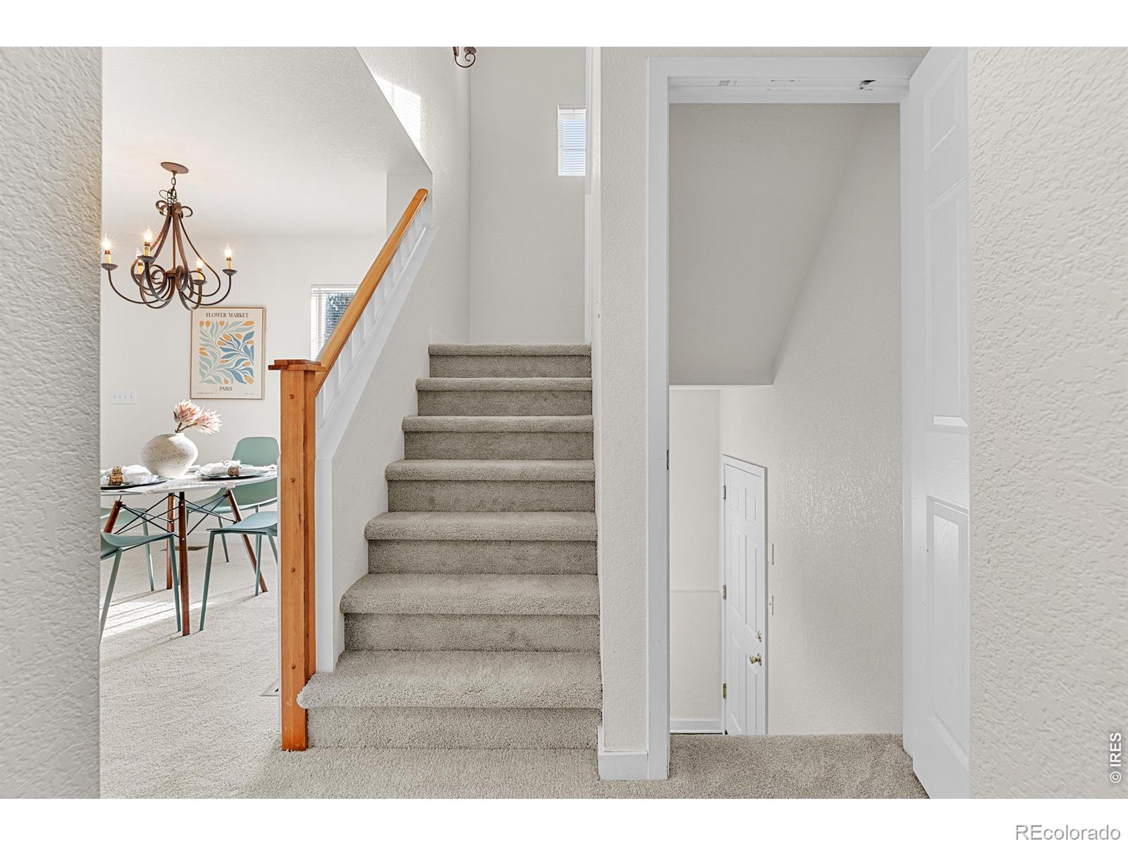 MLS Image #14 for 5025  ladies tresses place ,broomfield, Colorado