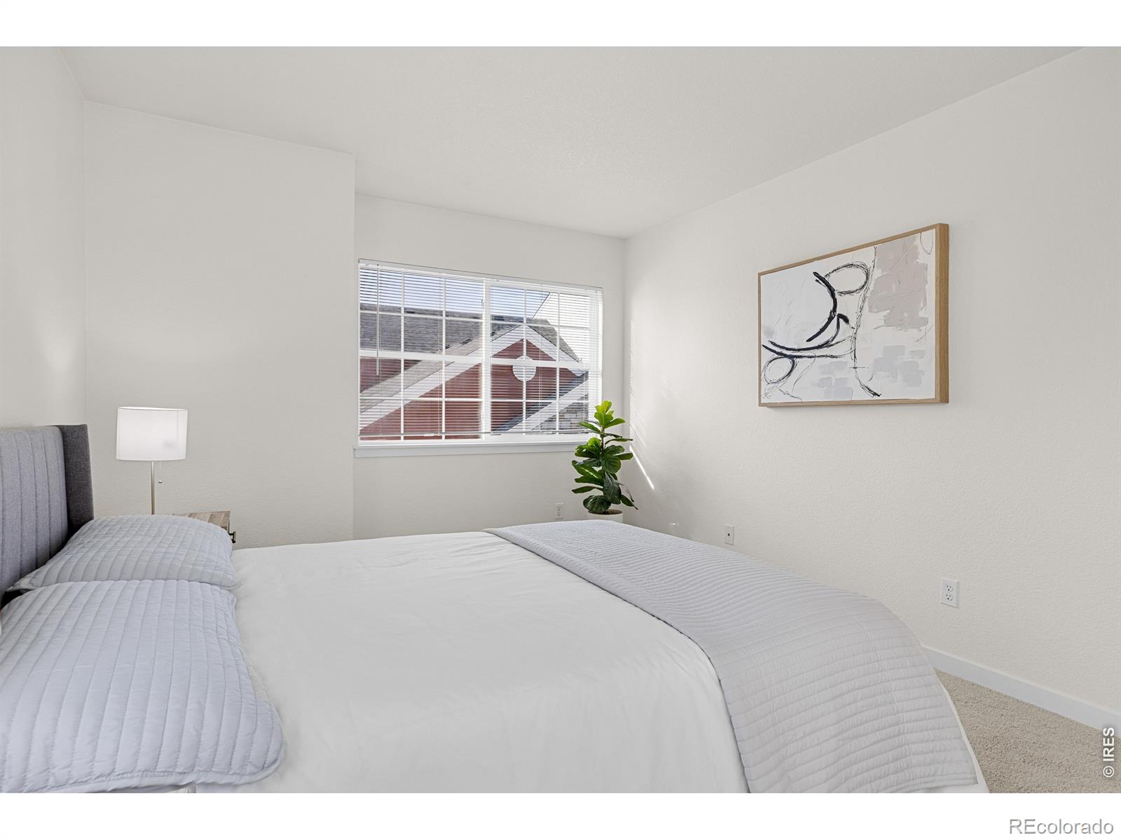 MLS Image #17 for 5025  ladies tresses place ,broomfield, Colorado