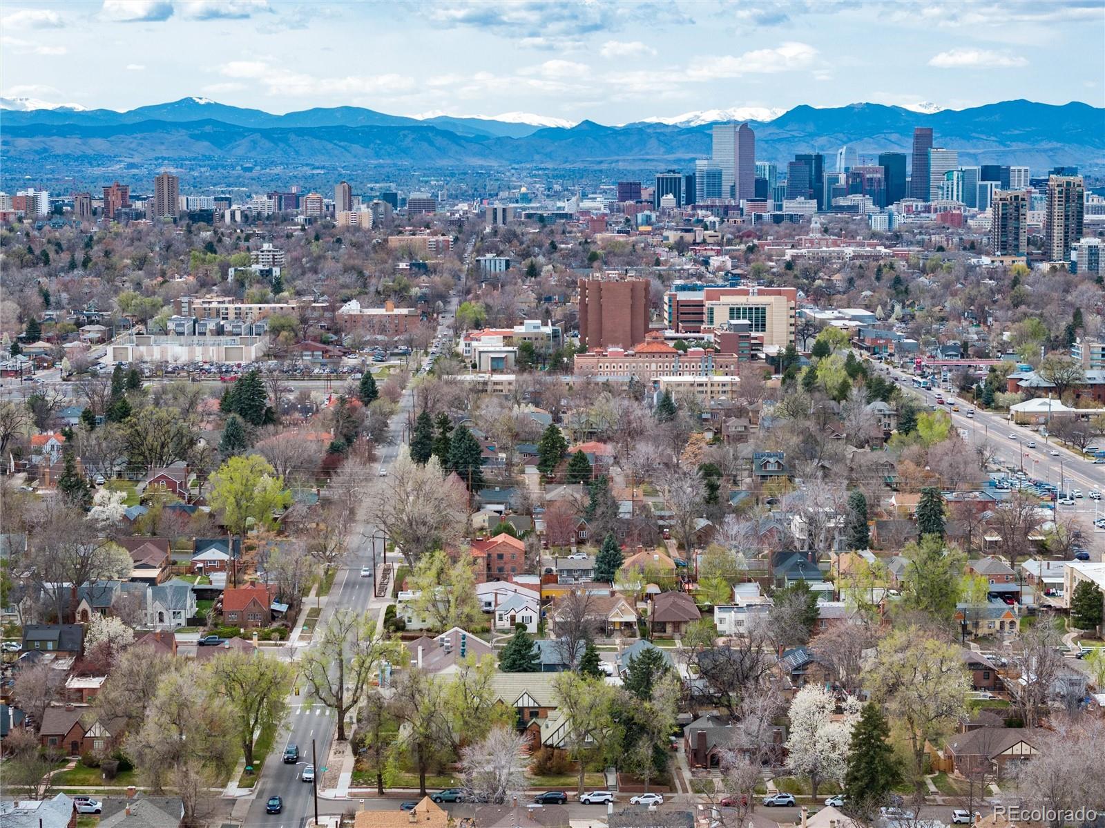 MLS Image #45 for 1419  dexter street ,denver, Colorado