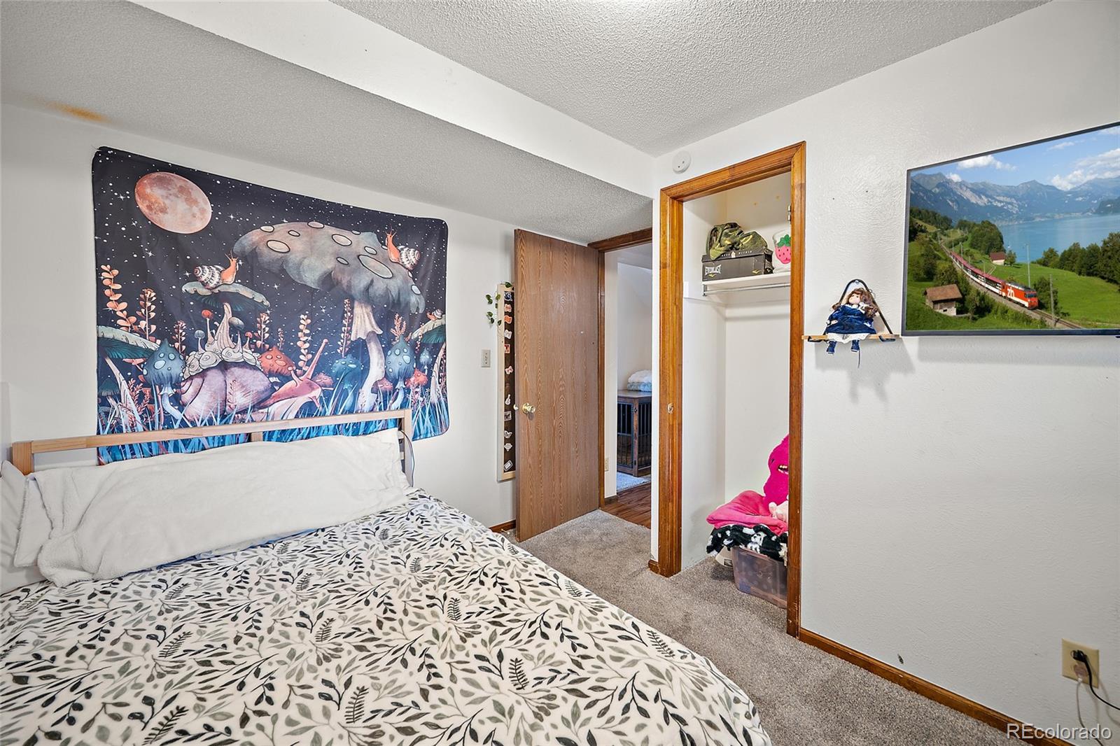 MLS Image #24 for 3175  deliverance drive,colorado springs, Colorado