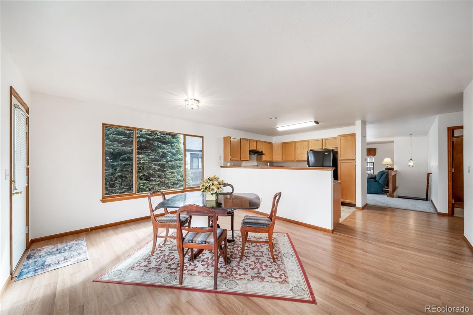 MLS Image #12 for 1744  lincoln street,longmont, Colorado