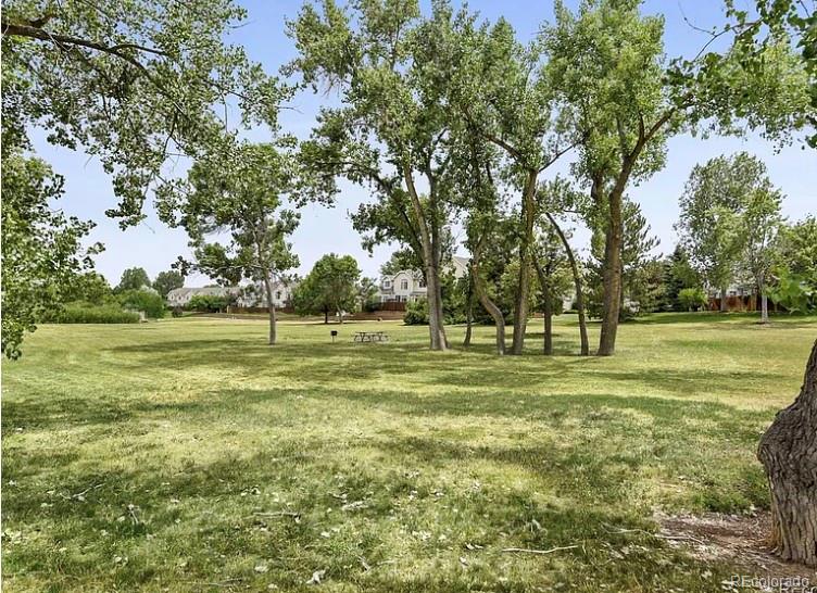 MLS Image #31 for 9098 w chestnut avenue,littleton, Colorado