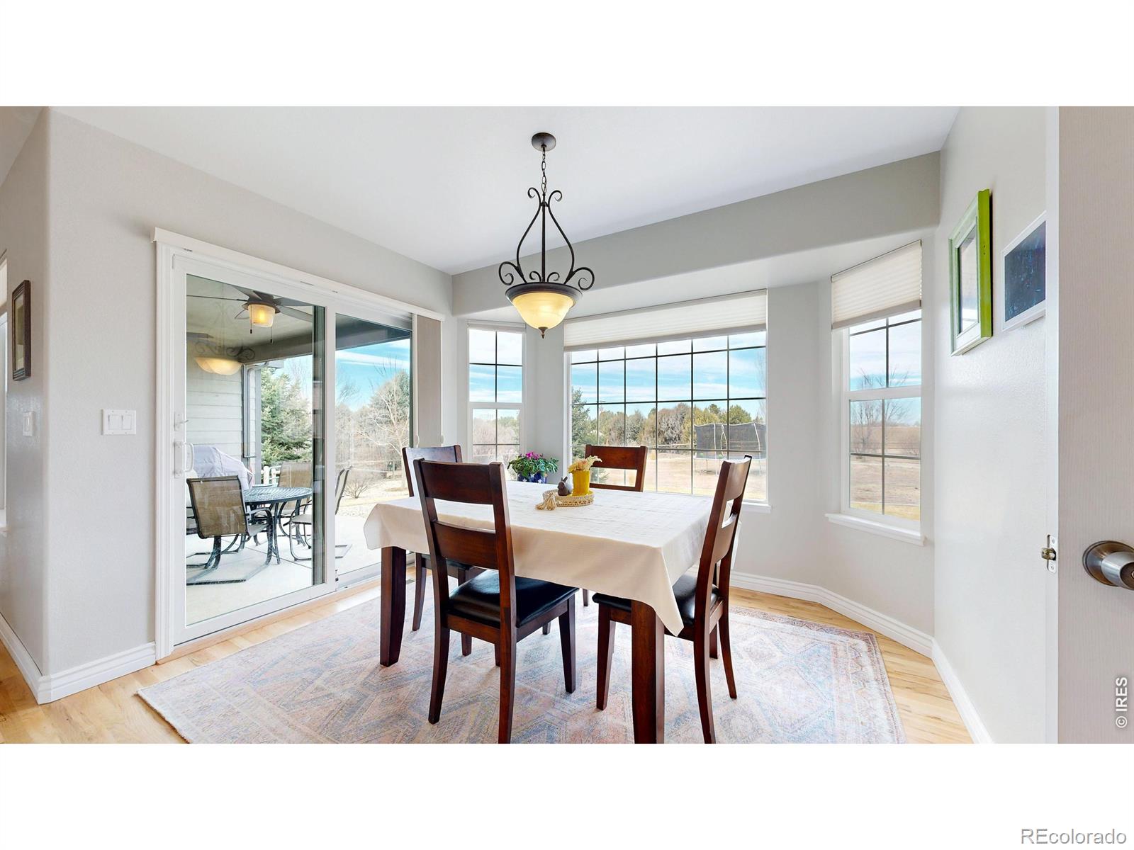 MLS Image #12 for 5005  cortez way,severance, Colorado