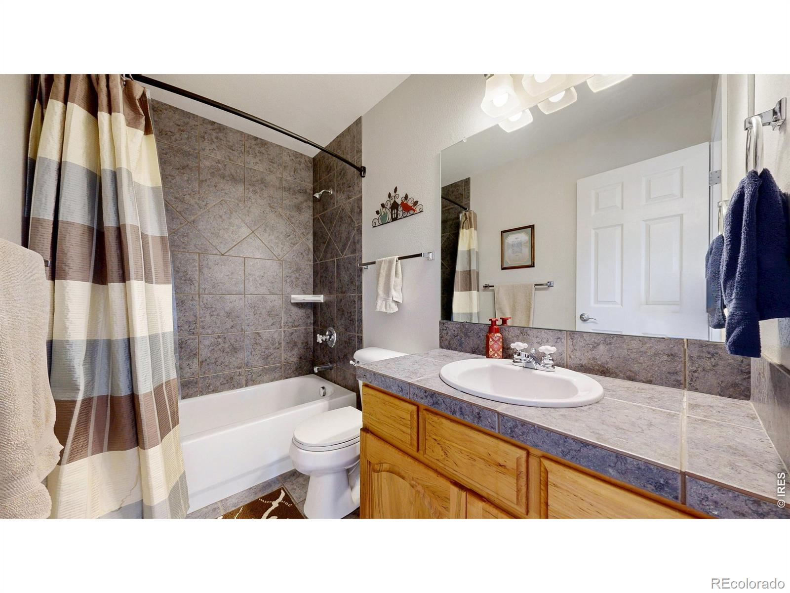 MLS Image #22 for 5005  cortez way,severance, Colorado