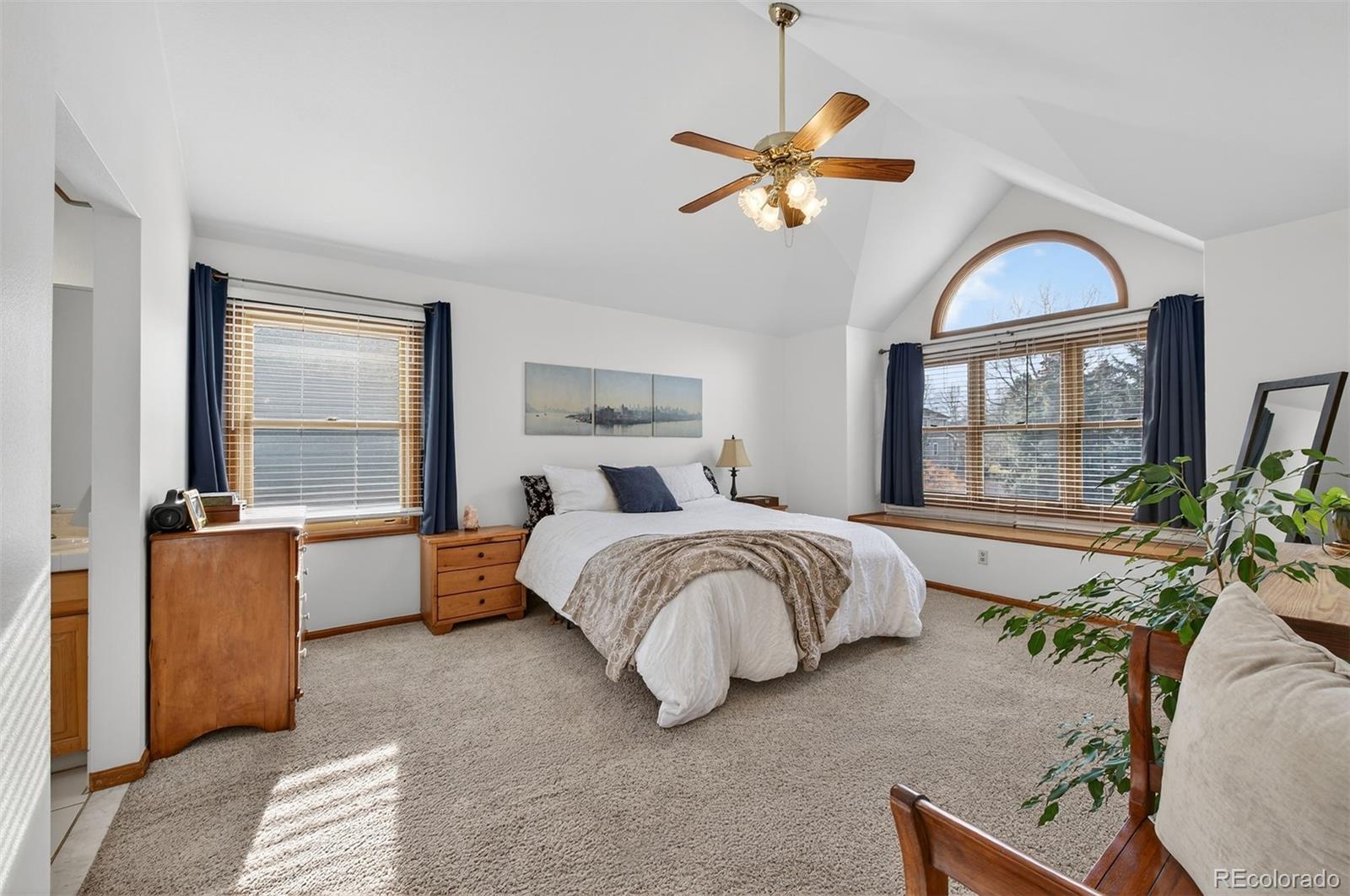 MLS Image #18 for 28  willowleaf drive,littleton, Colorado