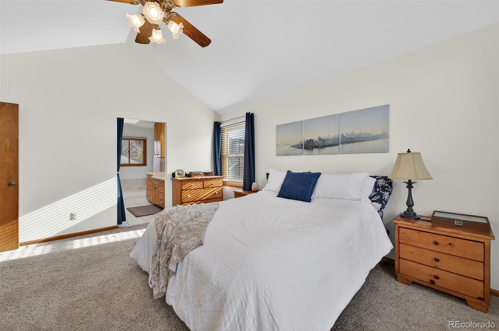 MLS Image #19 for 28  willowleaf drive,littleton, Colorado