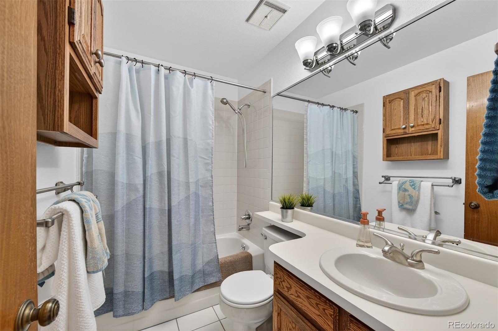 MLS Image #27 for 28  willowleaf drive,littleton, Colorado