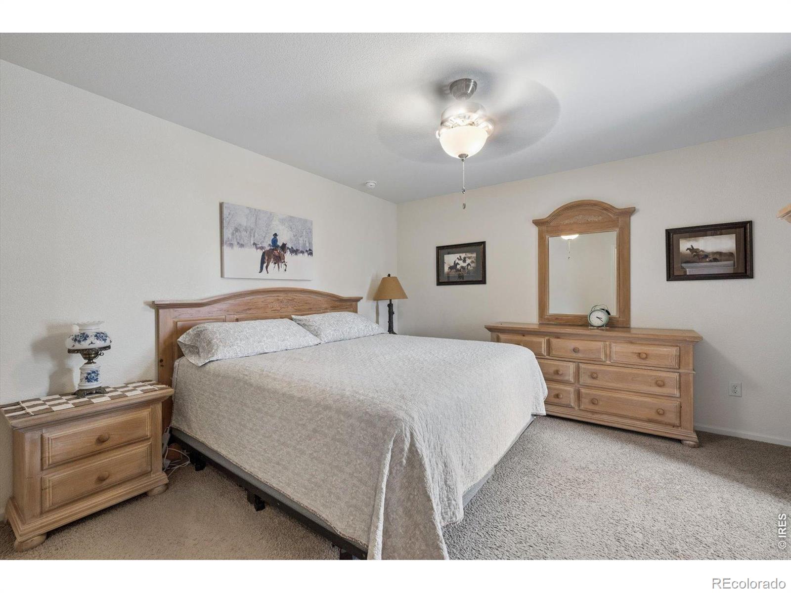 MLS Image #9 for 302  horizon avenue,lochbuie, Colorado