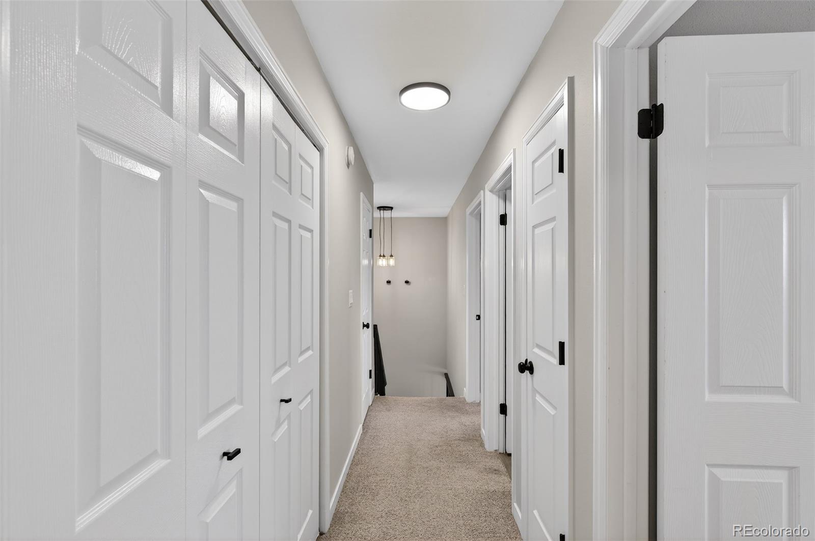 MLS Image #19 for 7228 s vine court ,centennial, Colorado
