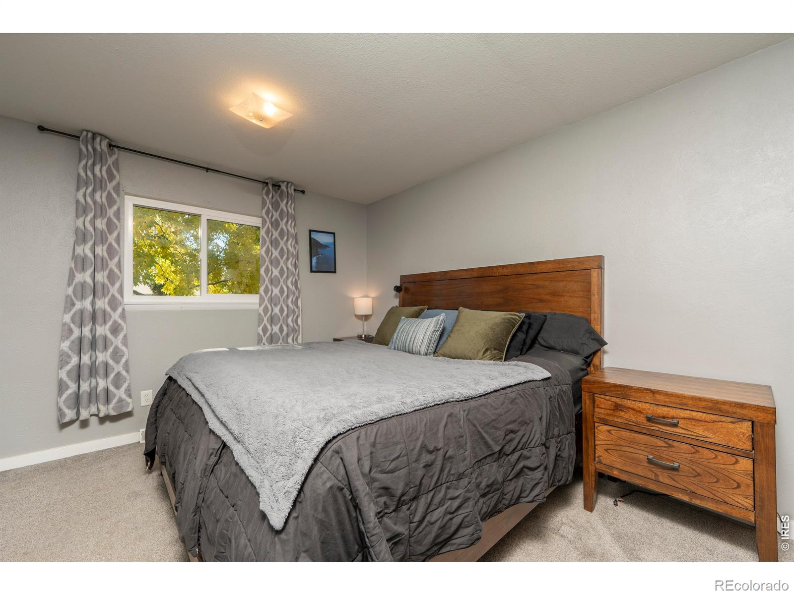 MLS Image #10 for 1101  20th street,loveland, Colorado