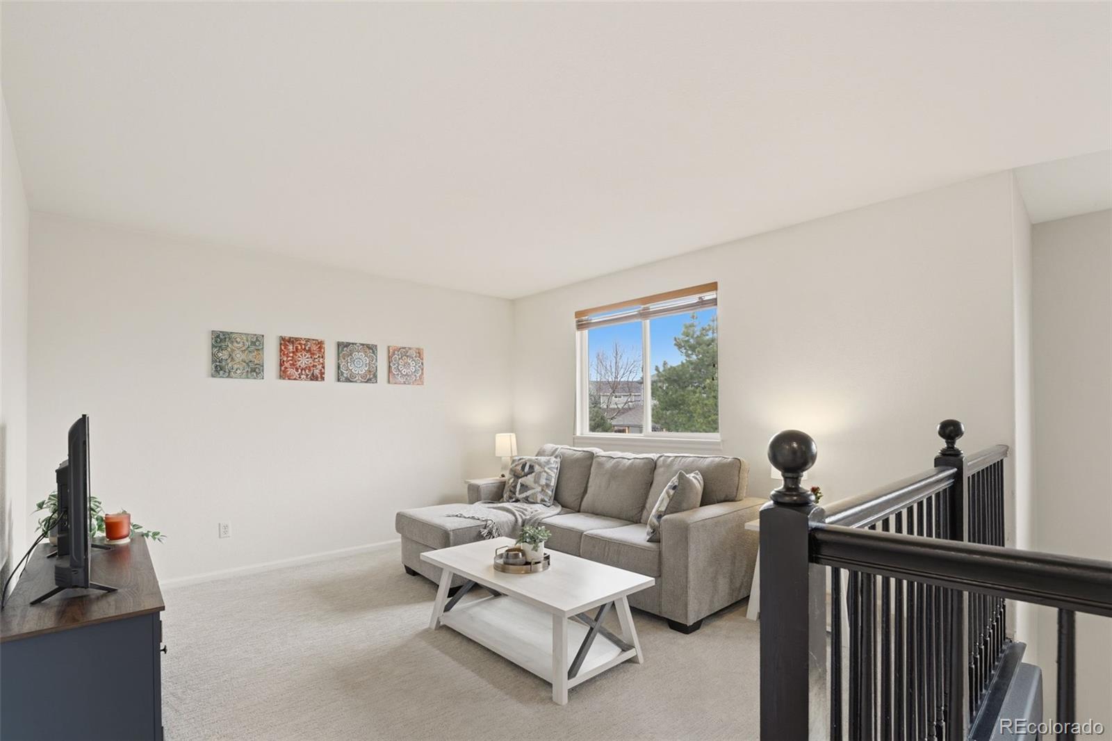 MLS Image #20 for 2942 e 135th place,thornton, Colorado
