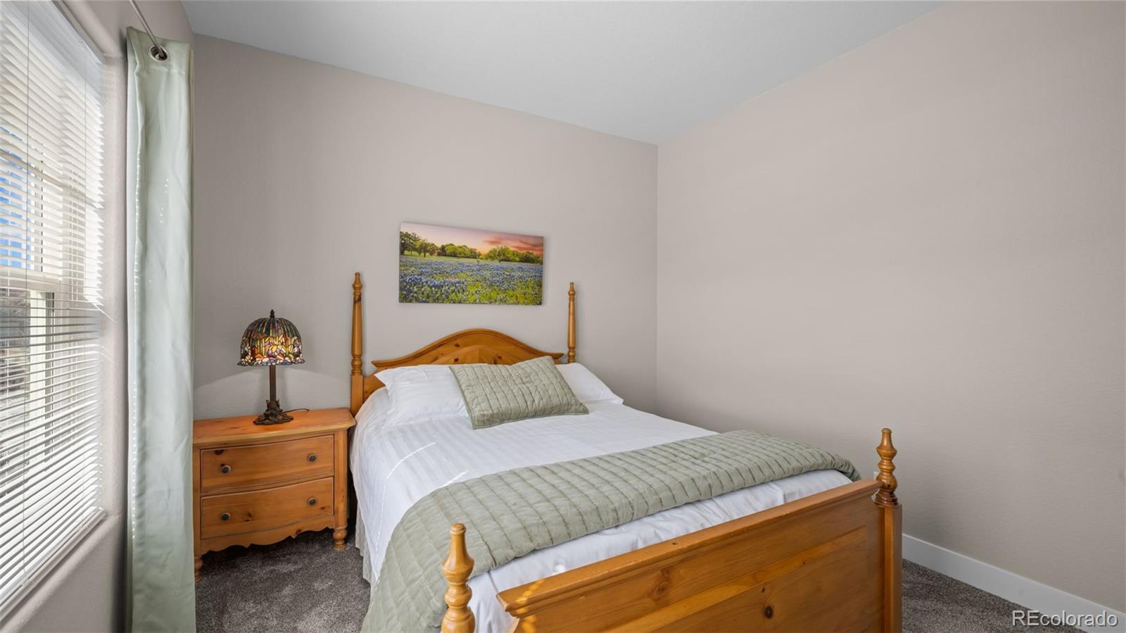 MLS Image #20 for 6758  thimble court,colorado springs, Colorado