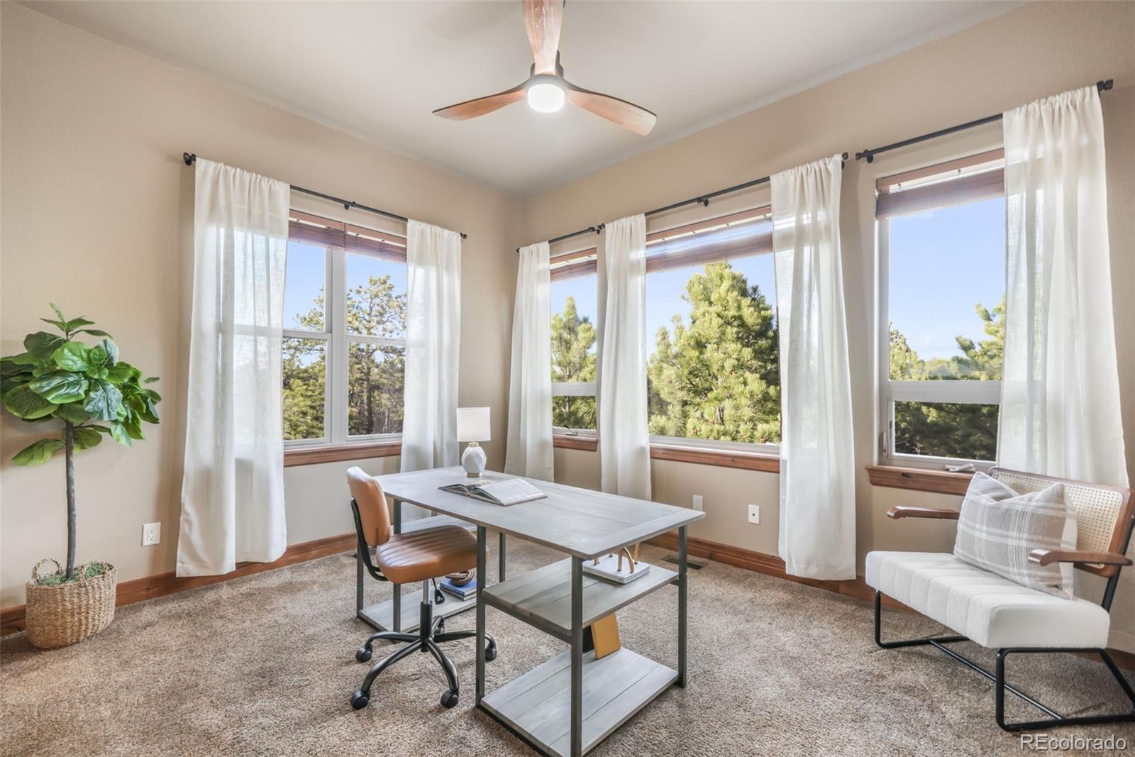 MLS Image #25 for 4740  foxchase way,colorado springs, Colorado