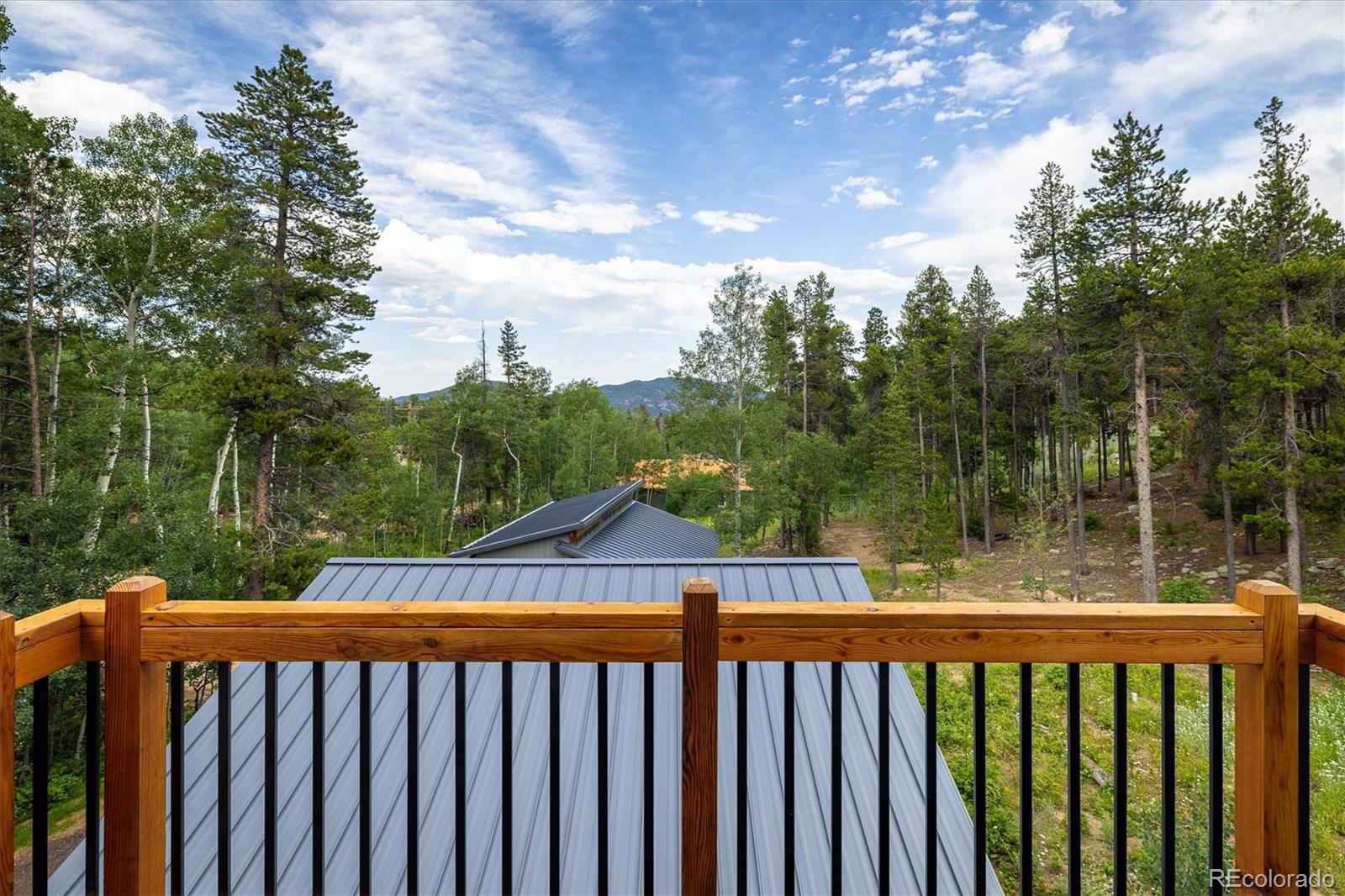MLS Image #20 for 713  rudi lane,golden, Colorado