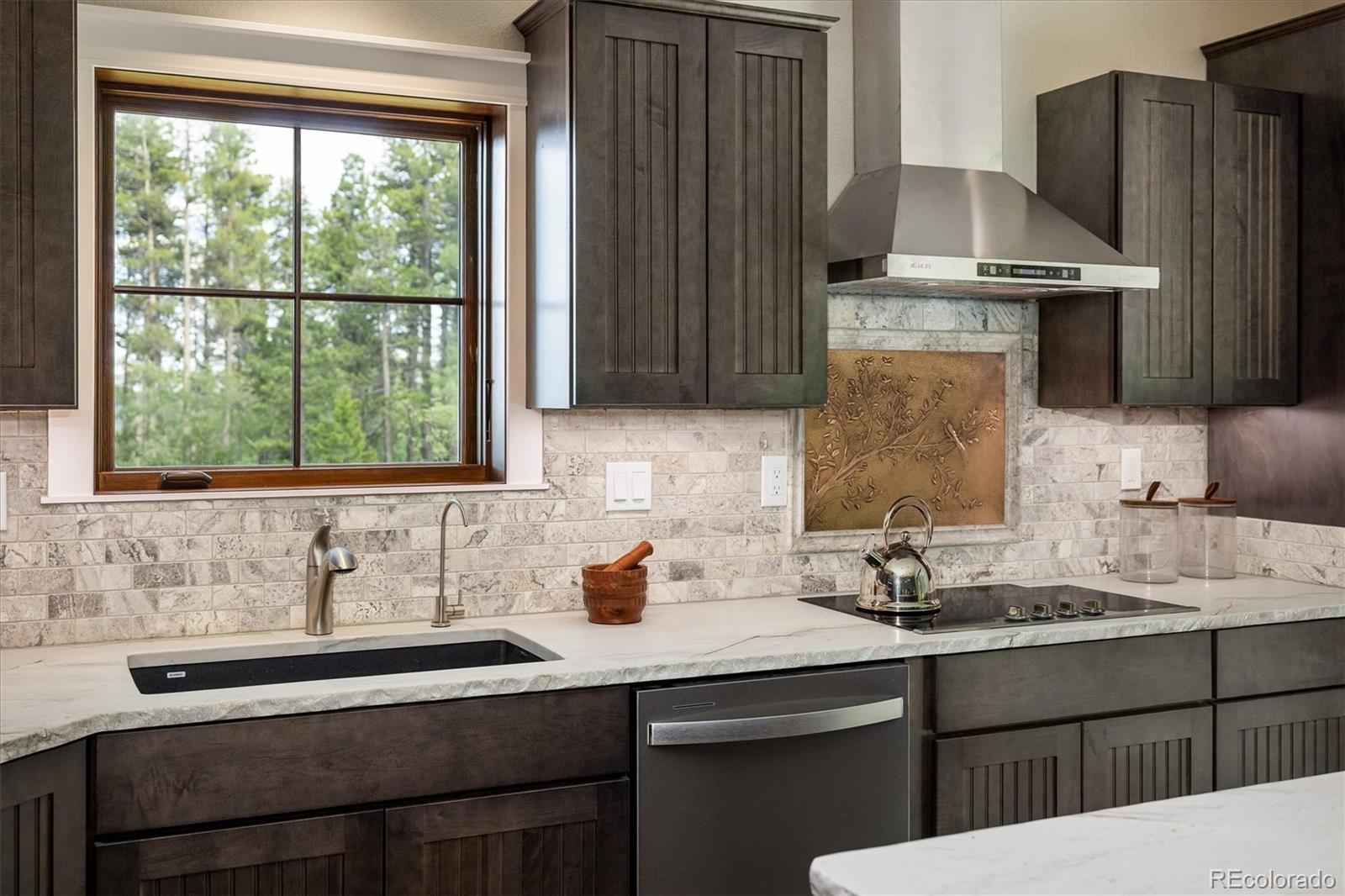 MLS Image #7 for 713  rudi lane,golden, Colorado