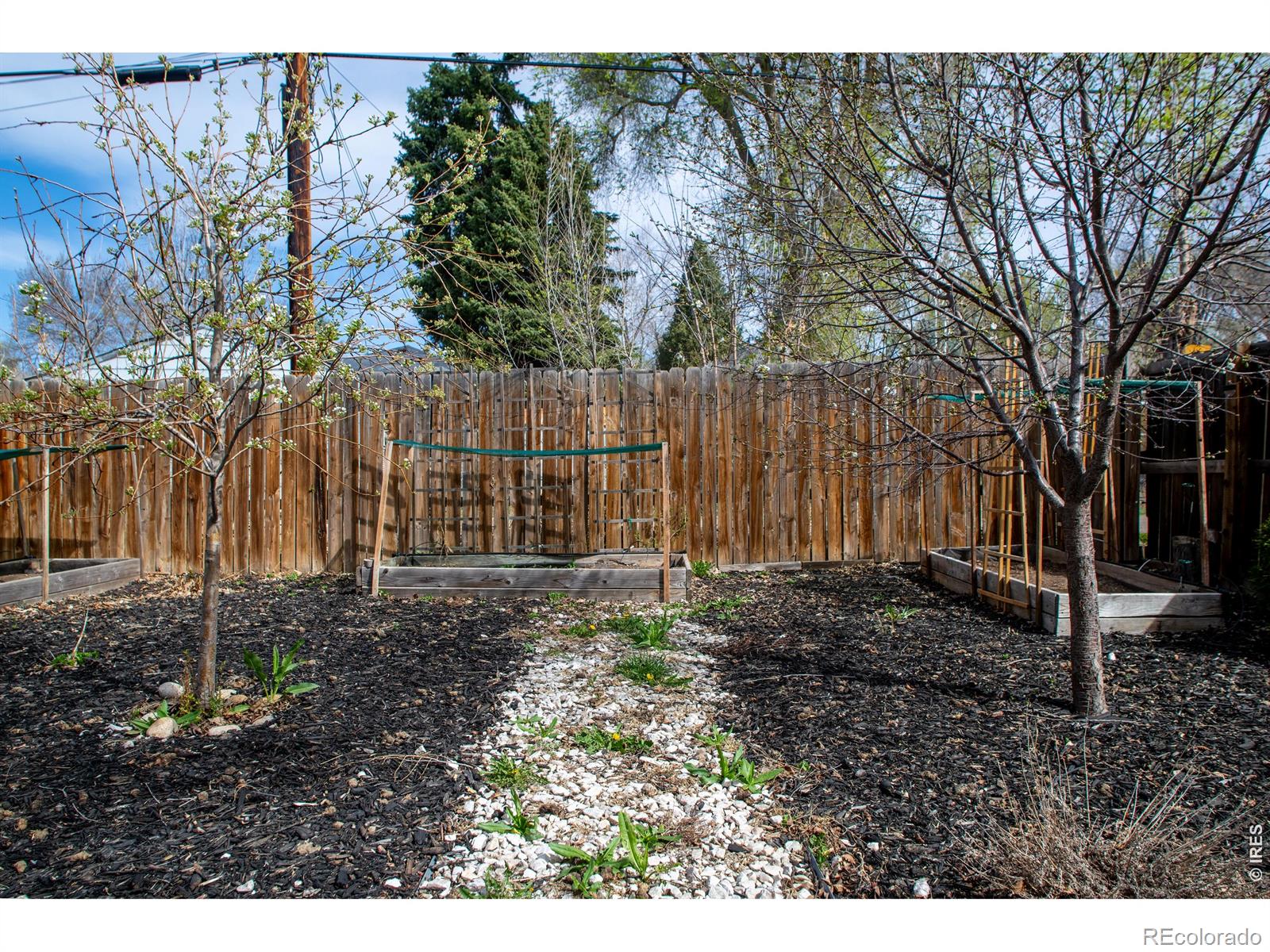 MLS Image #31 for 128 e 5th avenue,longmont, Colorado