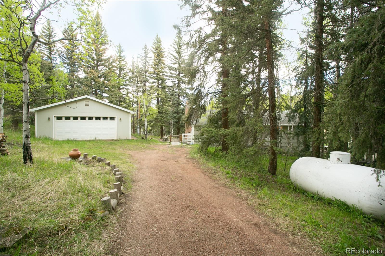 MLS Image #1 for 29055 s sunset trail,conifer, Colorado