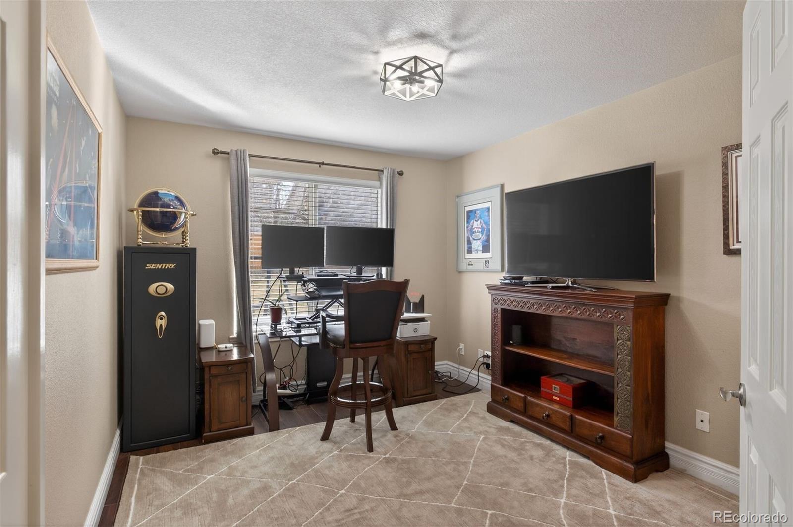 MLS Image #13 for 10060  matthew lane,highlands ranch, Colorado