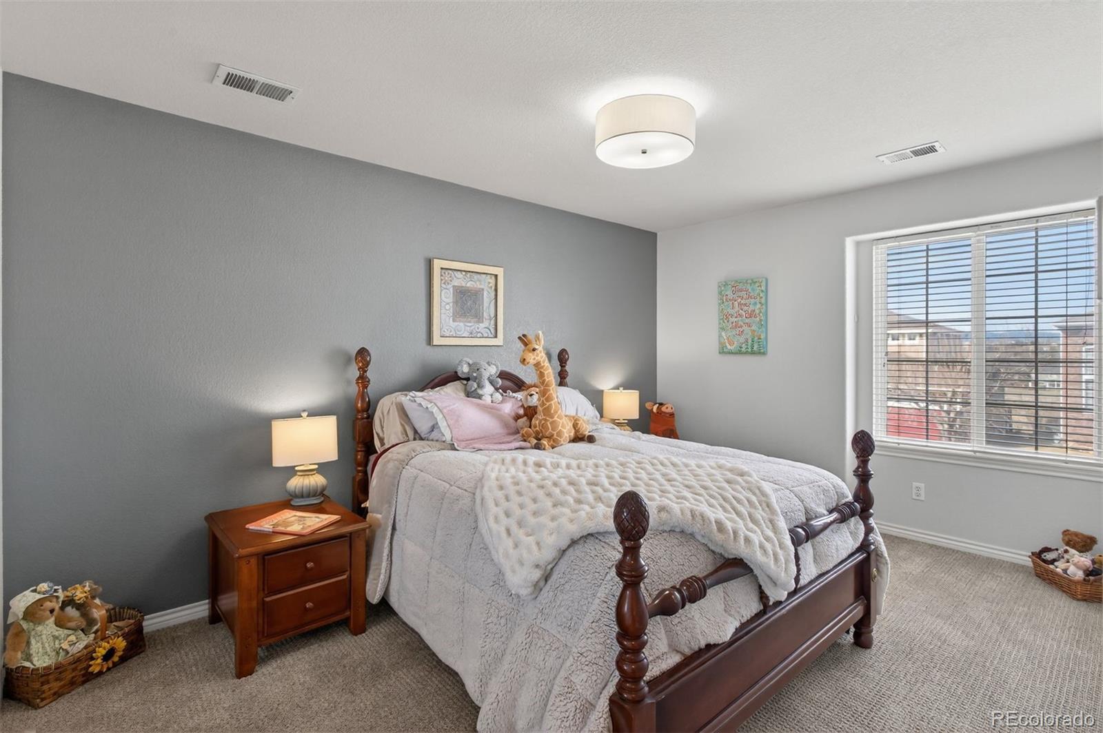 MLS Image #23 for 10060  matthew lane,highlands ranch, Colorado