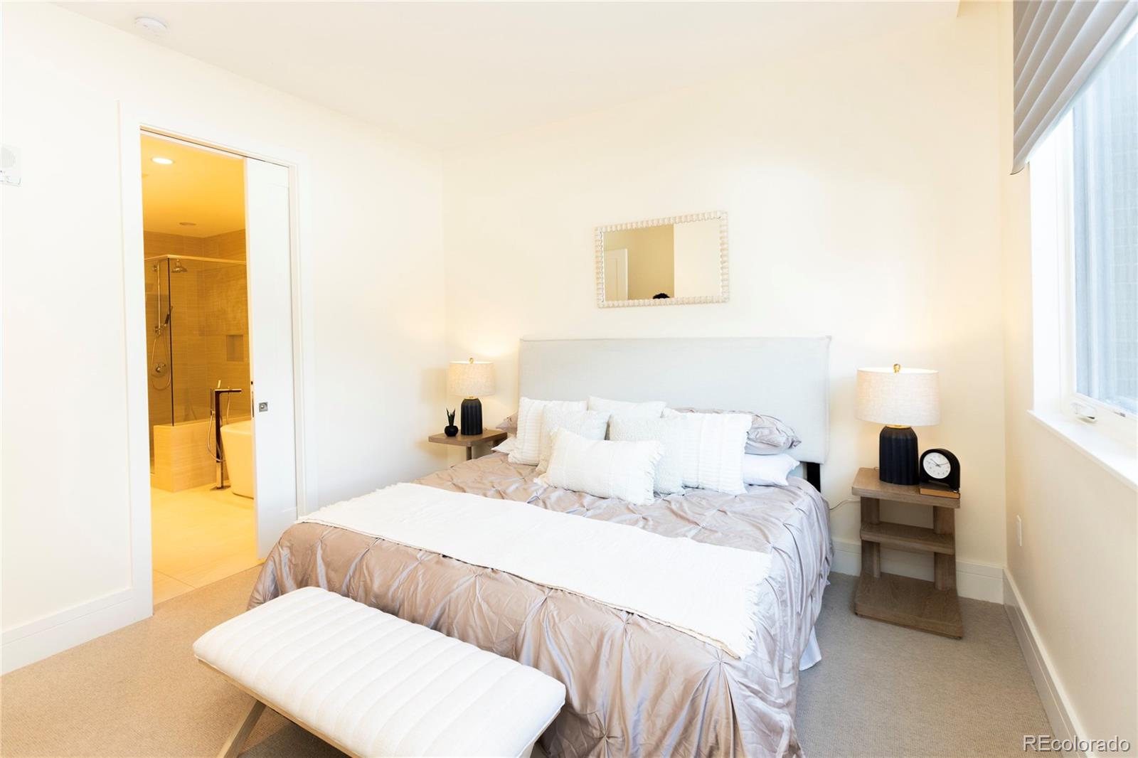 MLS Image #17 for 250  columbine street 308,denver, Colorado