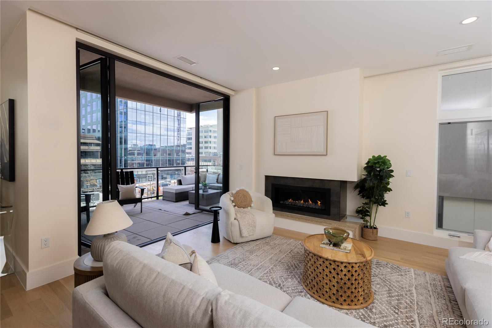 MLS Image #9 for 250  columbine street 308,denver, Colorado