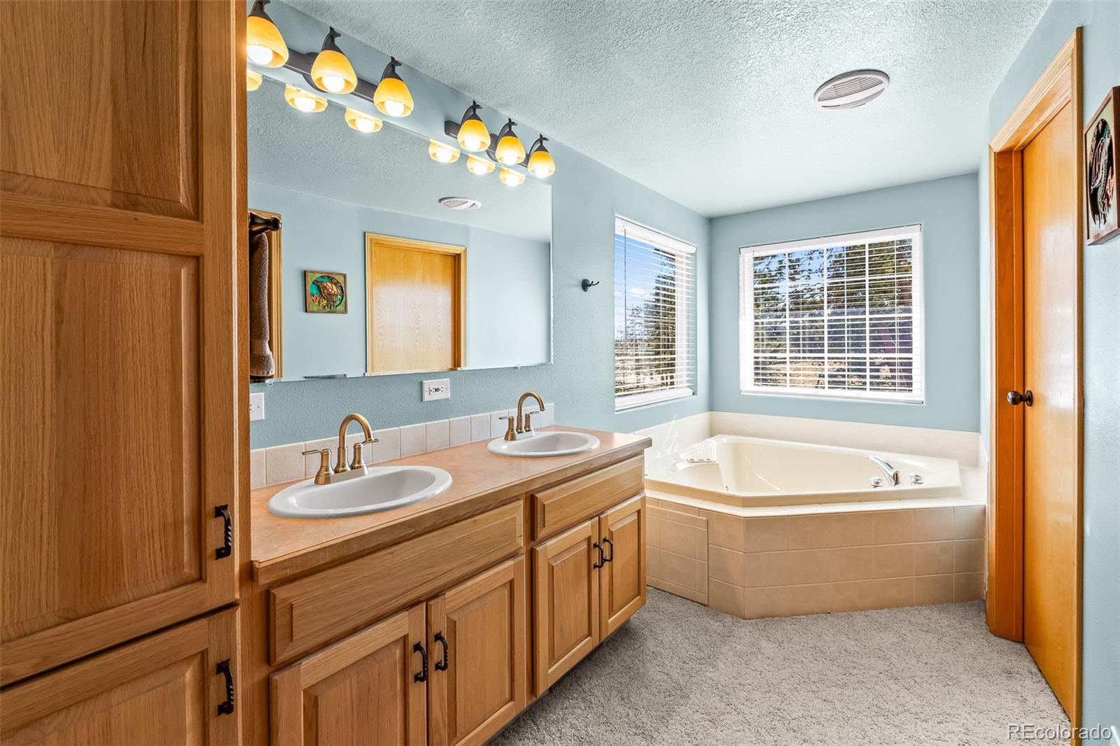 MLS Image #19 for 840  wagon wheel road,hartsel, Colorado