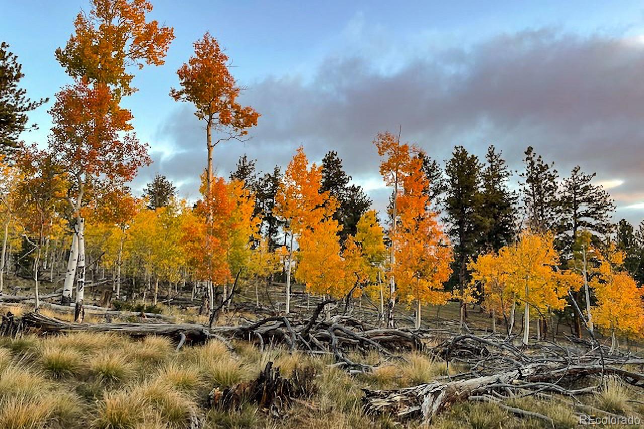 MLS Image #35 for 840  wagon wheel road,hartsel, Colorado