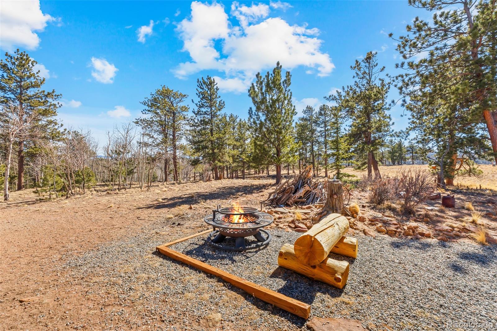 MLS Image #7 for 840  wagon wheel road,hartsel, Colorado