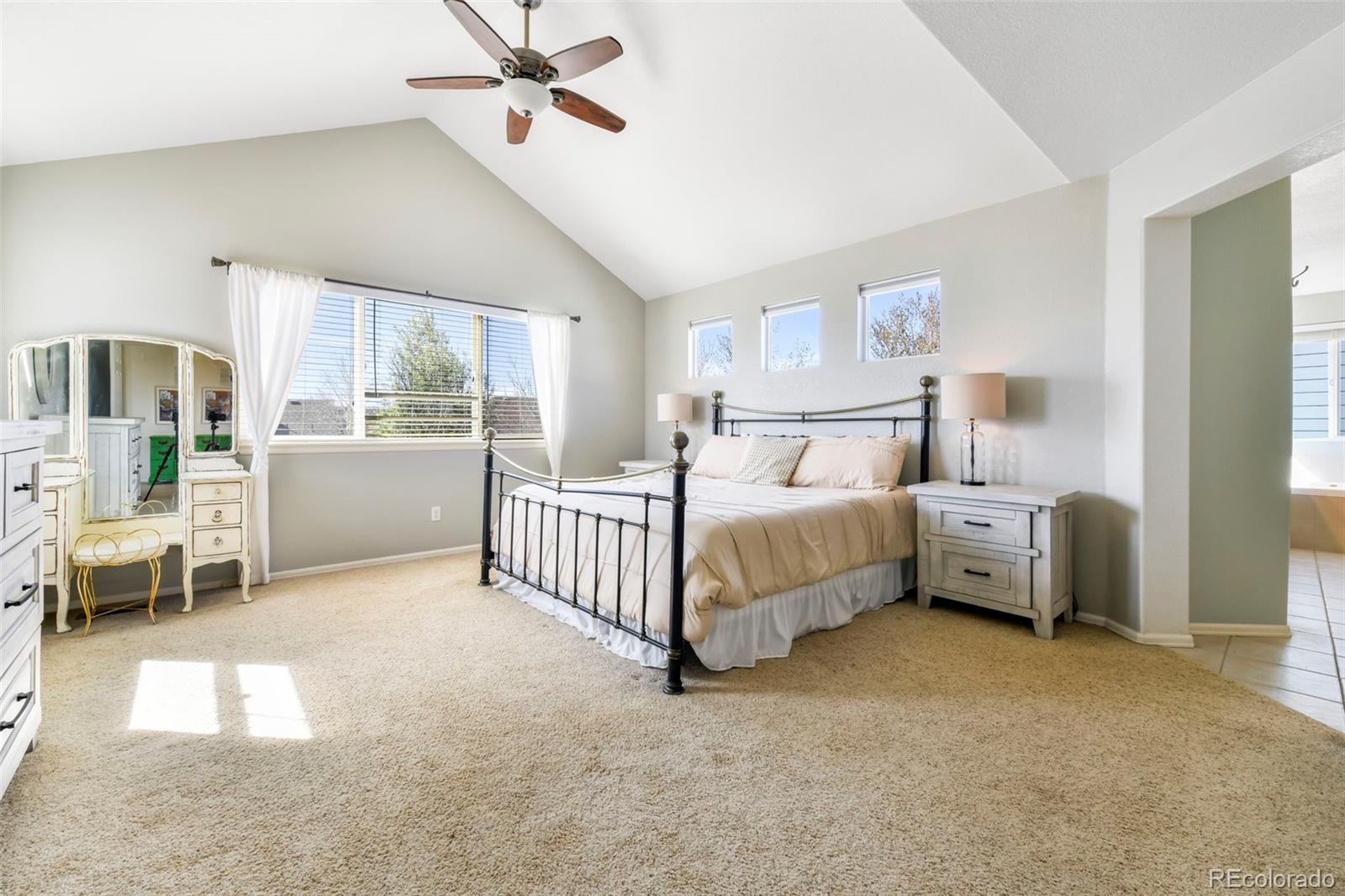 MLS Image #23 for 3524  dove valley place,castle rock, Colorado