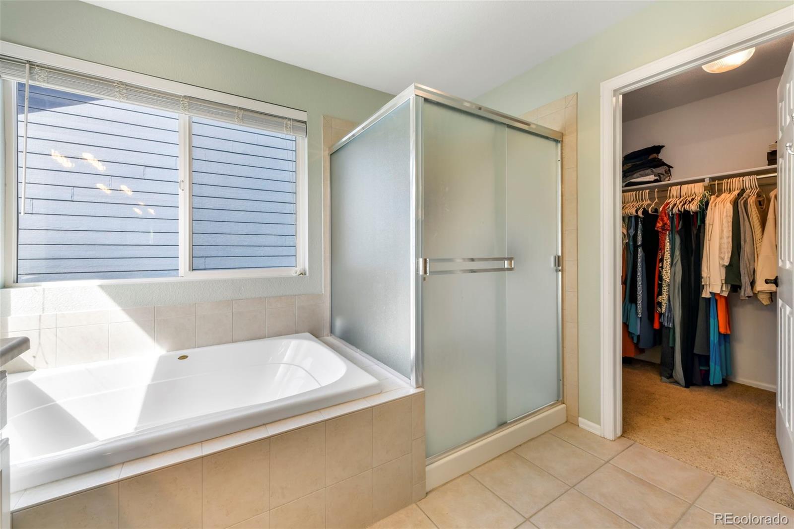 MLS Image #25 for 3524  dove valley place,castle rock, Colorado