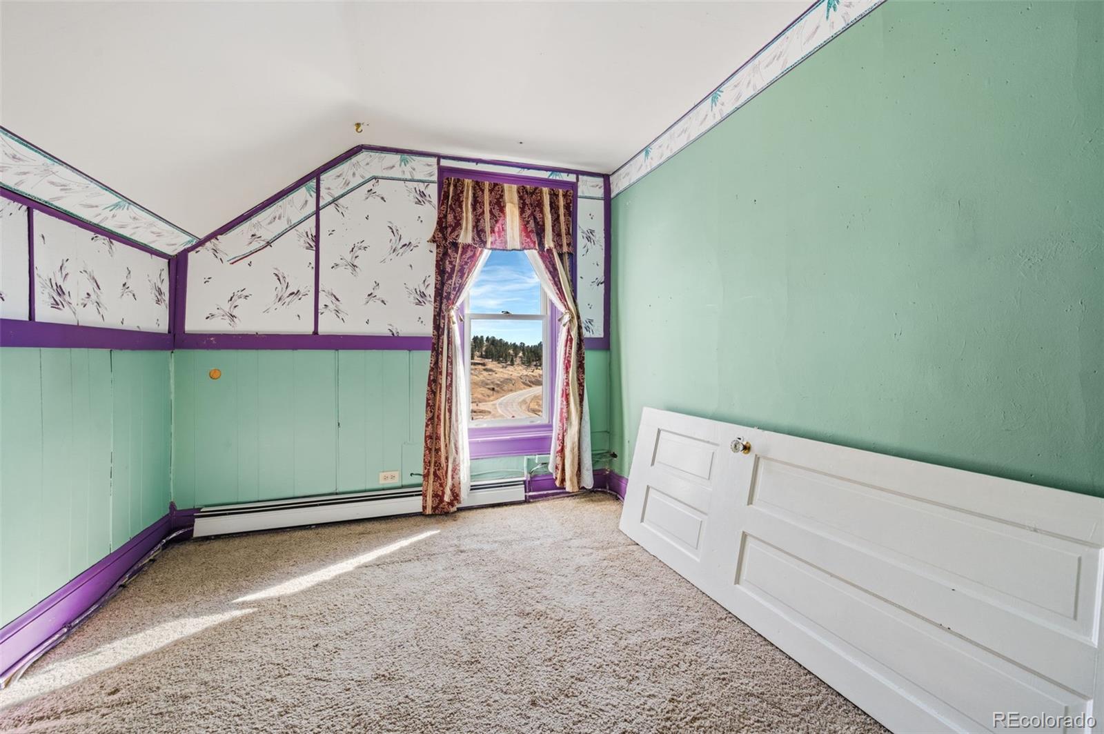 MLS Image #30 for 310 e whiting avenue,cripple creek, Colorado