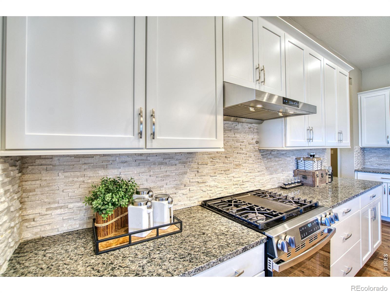 MLS Image #6 for 2430  summerlin lane,longmont, Colorado
