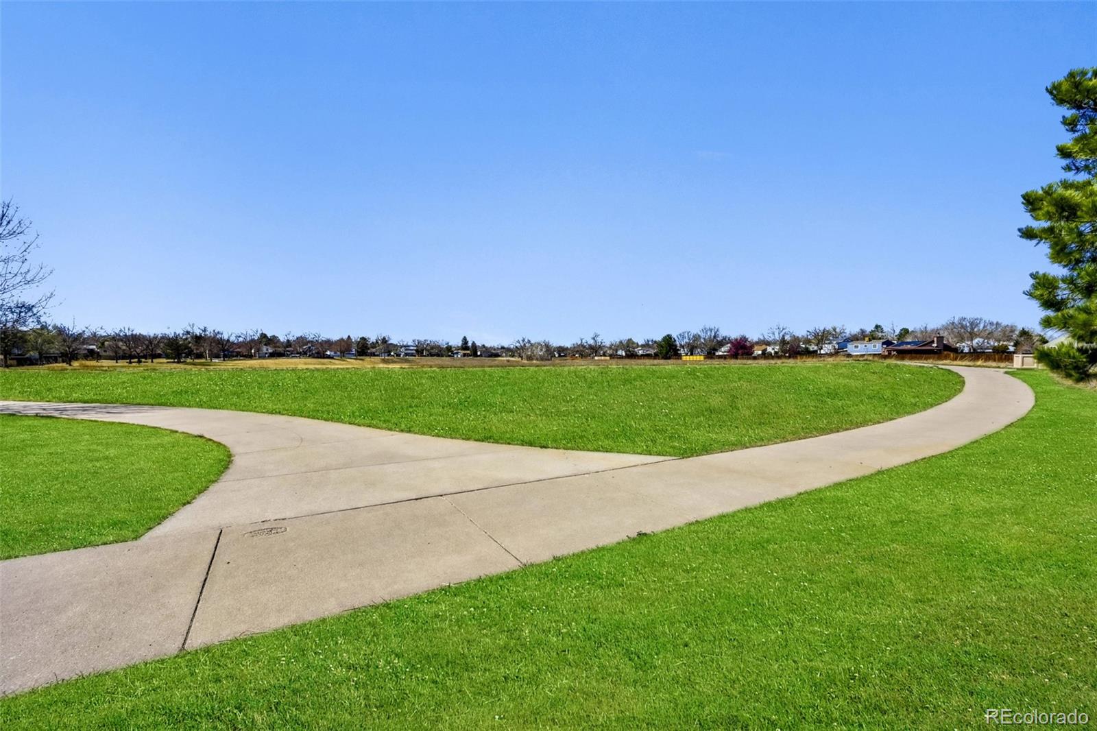 MLS Image #26 for 11312  harlan street,westminster, Colorado