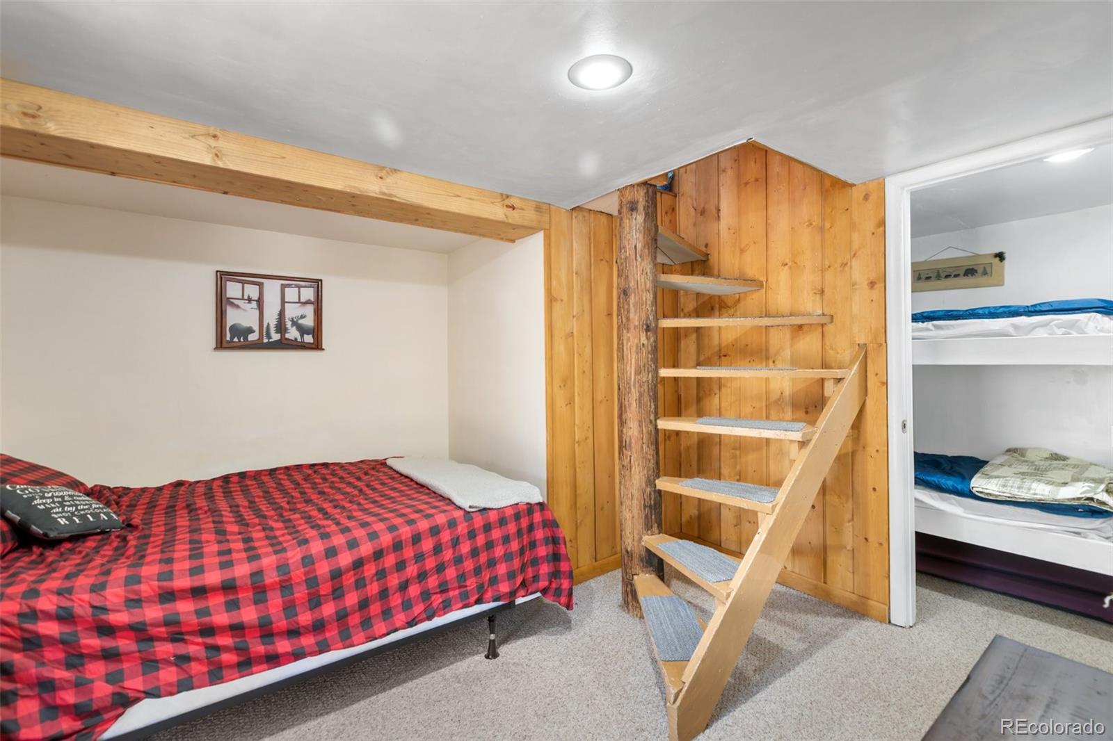 MLS Image #22 for 5870  paona road,cascade, Colorado