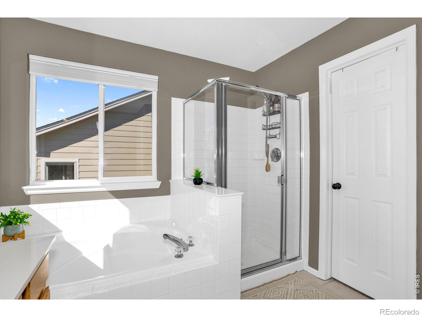 MLS Image #15 for 4416  pika drive,loveland, Colorado