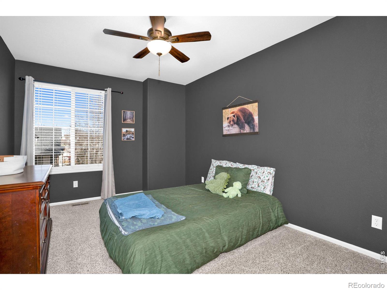 MLS Image #20 for 4416  pika drive,loveland, Colorado