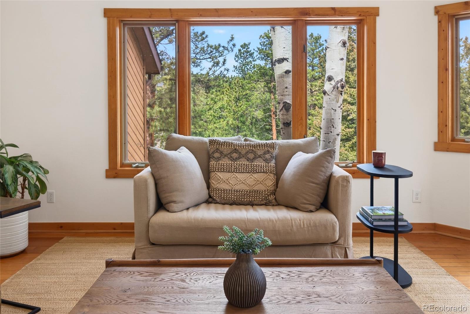 MLS Image #10 for 14482  jubilee trail,pine, Colorado
