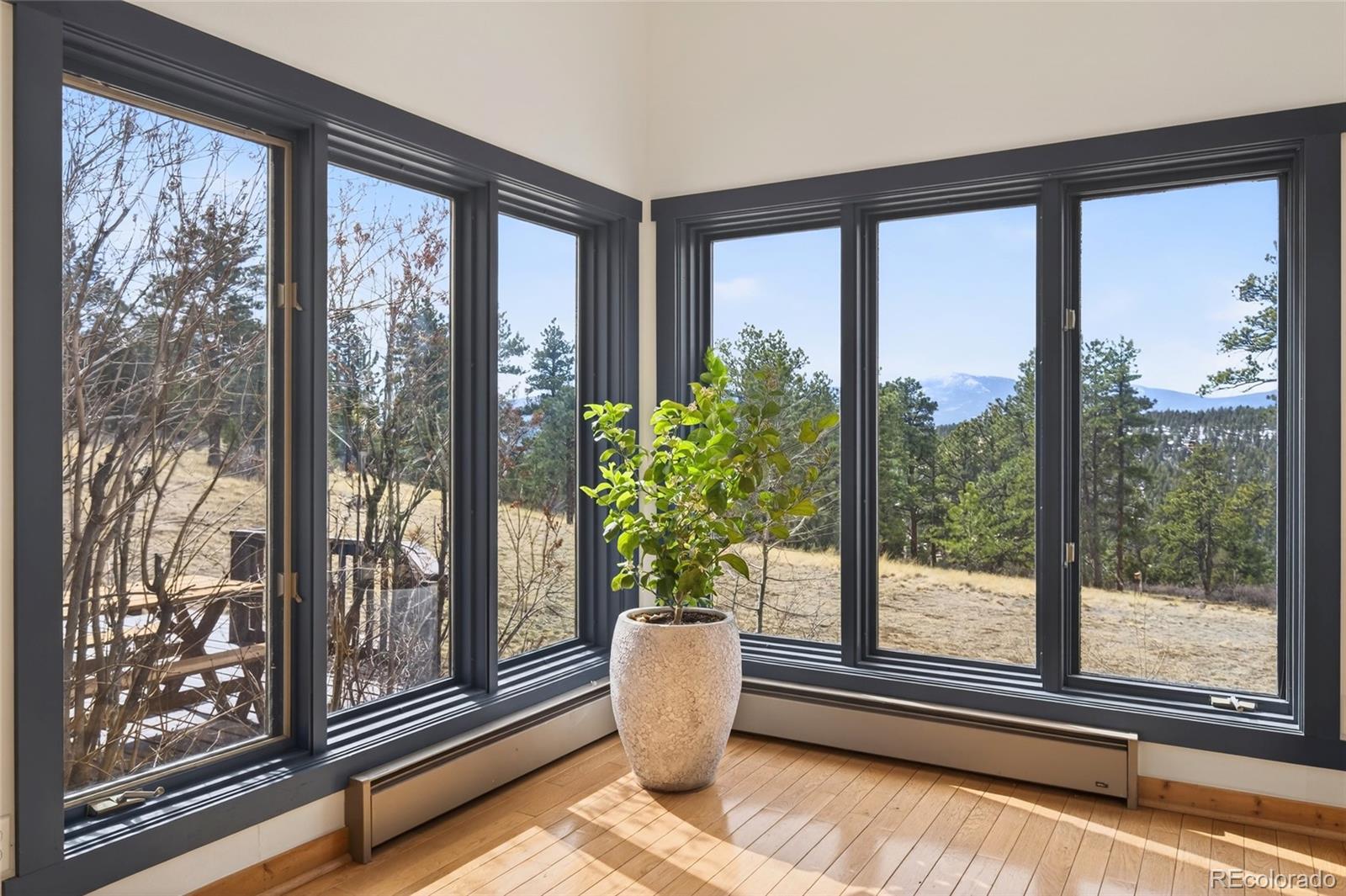 MLS Image #21 for 14482  jubilee trail,pine, Colorado
