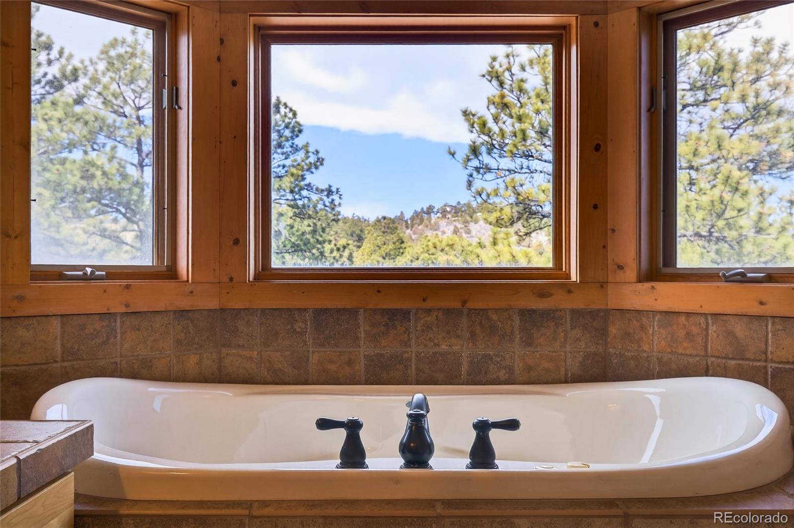 MLS Image #28 for 14482  jubilee trail,pine, Colorado