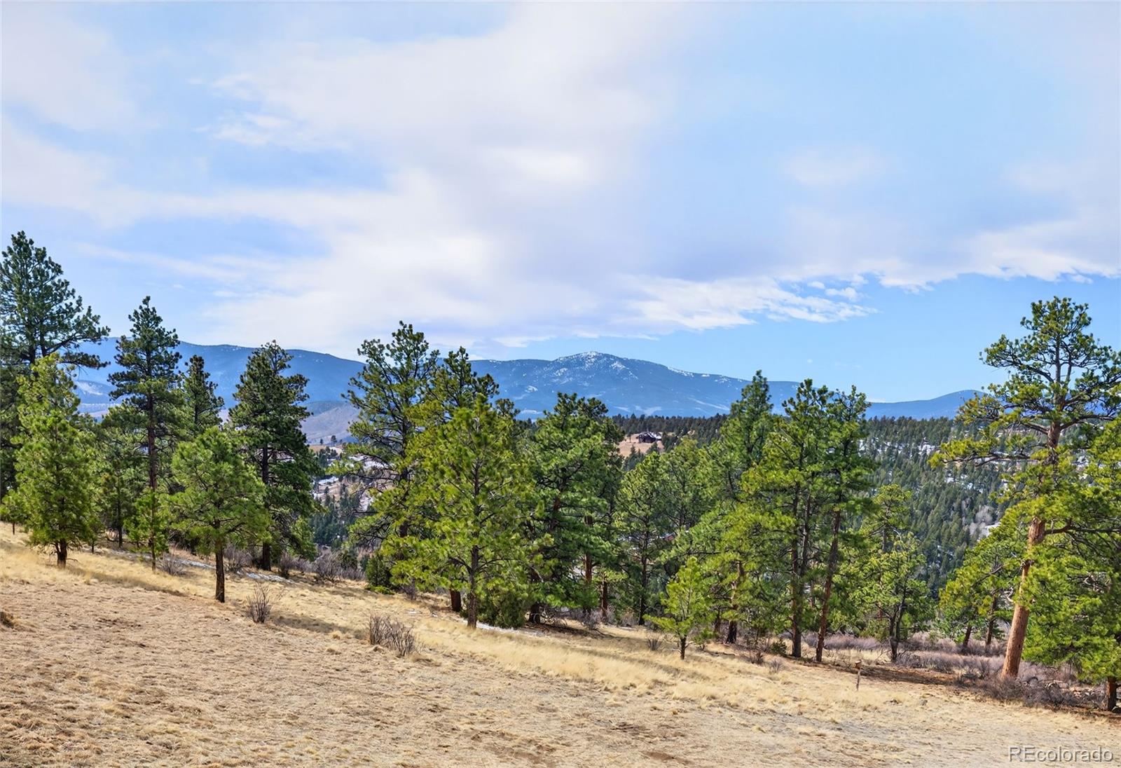MLS Image #46 for 14482  jubilee trail,pine, Colorado