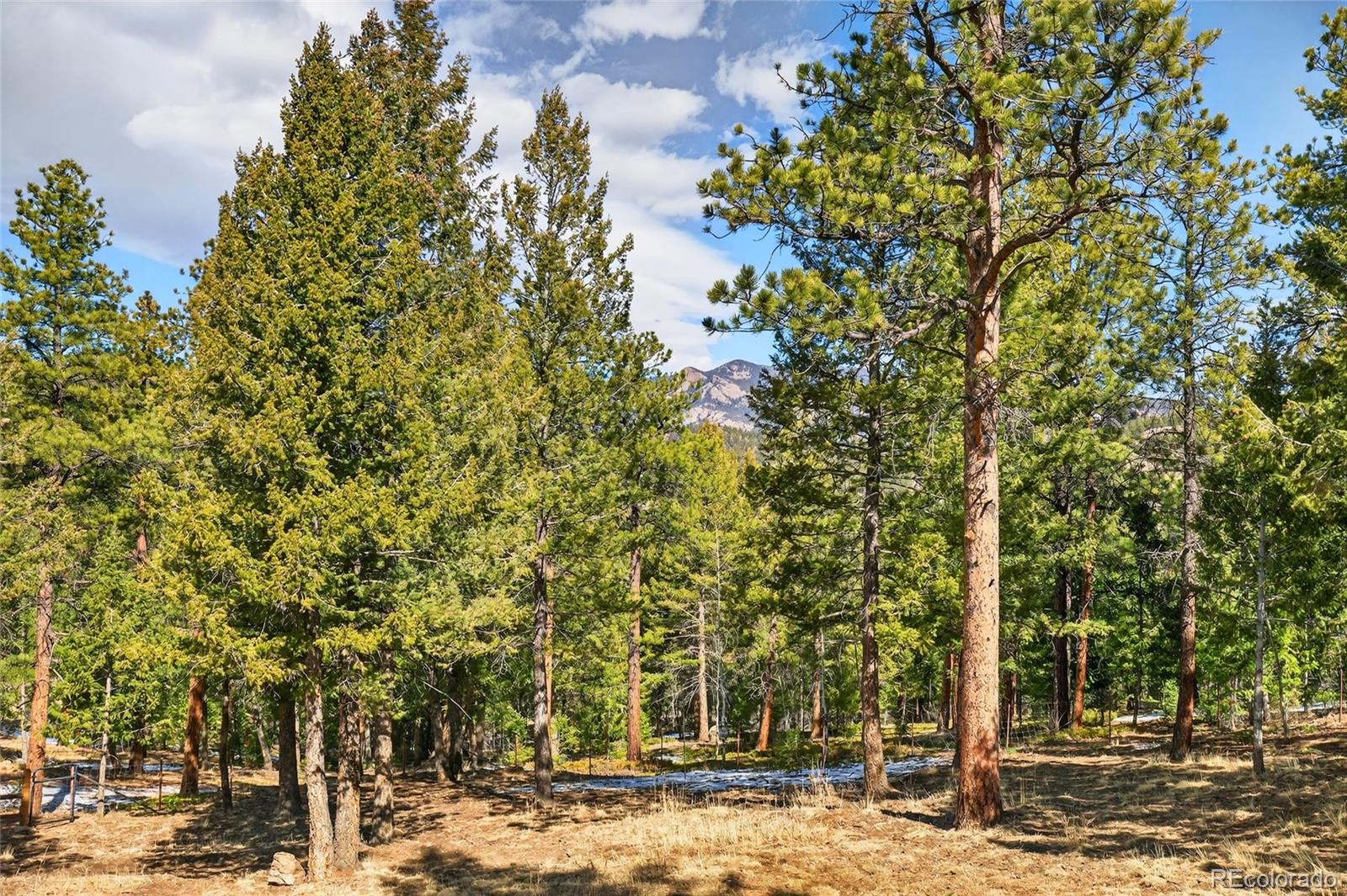 MLS Image #47 for 14482  jubilee trail,pine, Colorado