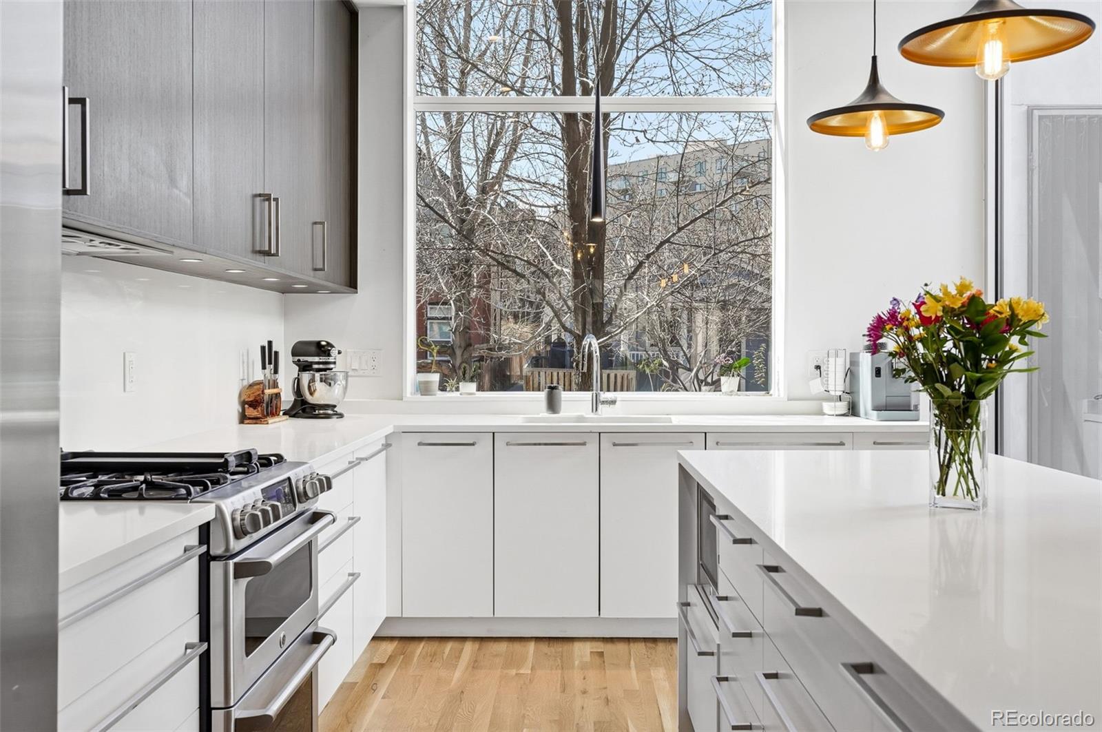 MLS Image #15 for 2516 n clarkson street,denver, Colorado