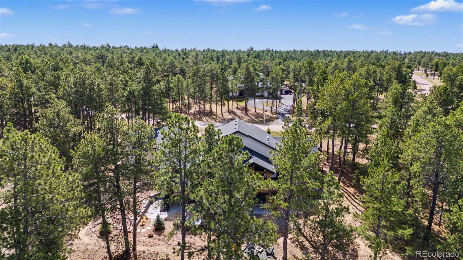 MLS Image #45 for 19125  hilltop pines path,monument, Colorado
