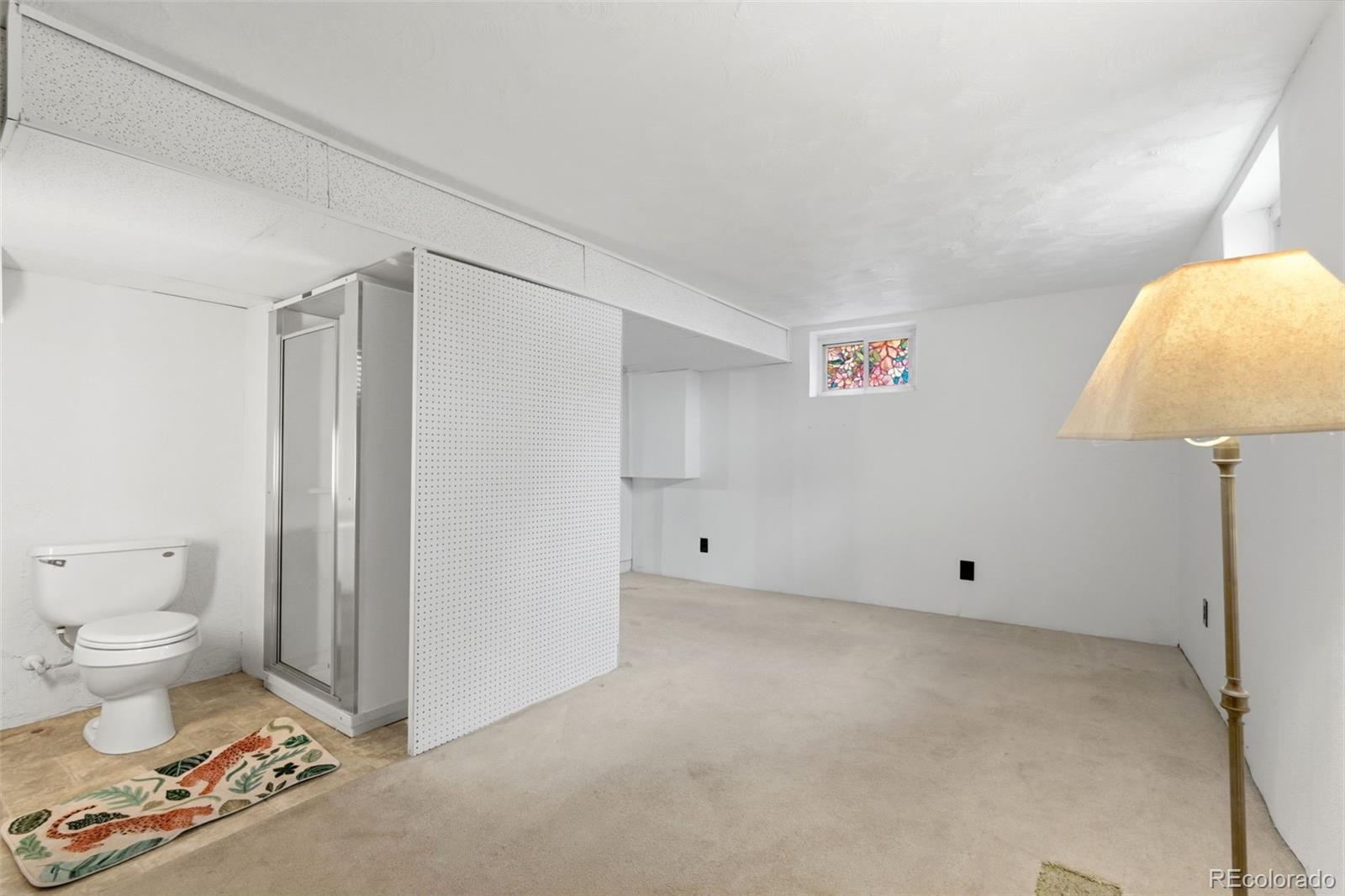 MLS Image #37 for 124 s decatur street,denver, Colorado