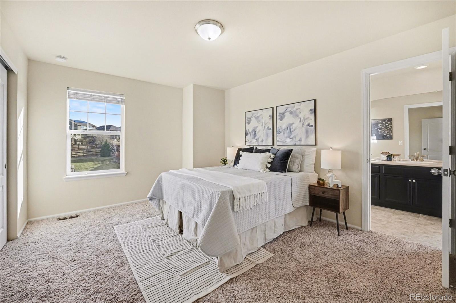 MLS Image #19 for 8515  blanca court,arvada, Colorado