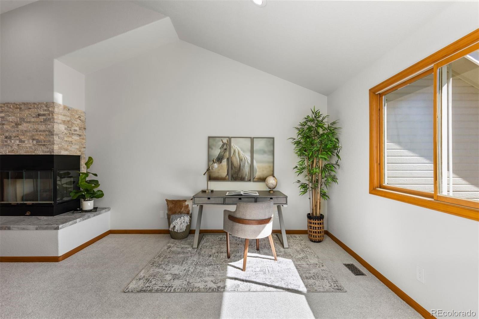 MLS Image #17 for 7592 s monaco way,centennial, Colorado